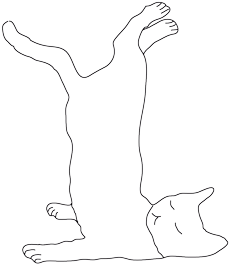 LeChatBlanc-Logo