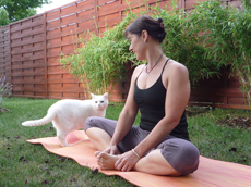 Mon chat blanc